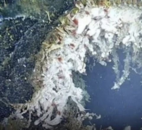 OFF THE RECORD Massive Underwater Volcano On Brink Of Eruption, Scientists Caution