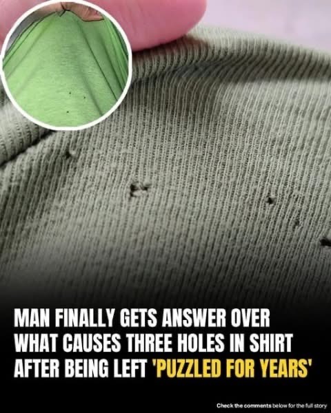 Man Solves Mystery Of Tiny Holes In T-Shirts After Years Of Frustration