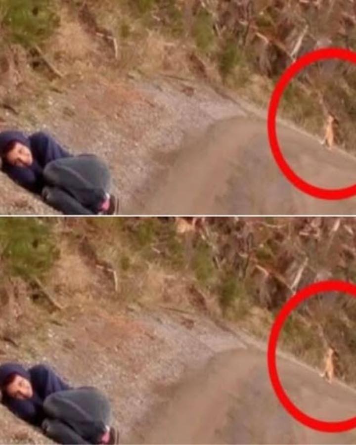 This is the amazing tale of Amanda, an animal lover who stunned everyone with a gesture.