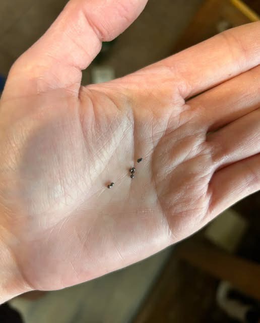Discovered Metal Balls Beneath Your Sink? This Is What They Signify