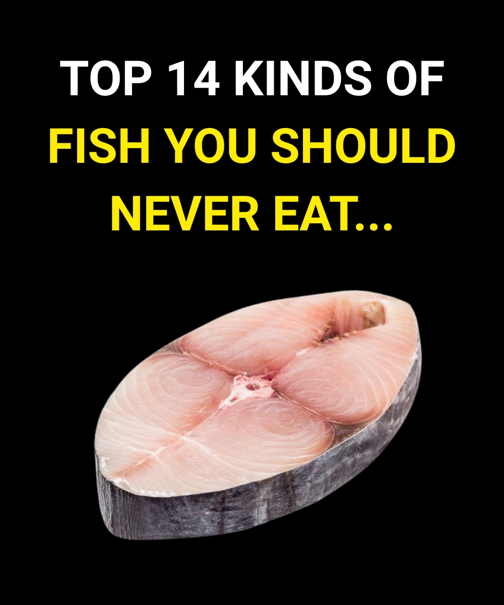 14 Types of Fish That Are Best Left Off Your Plate