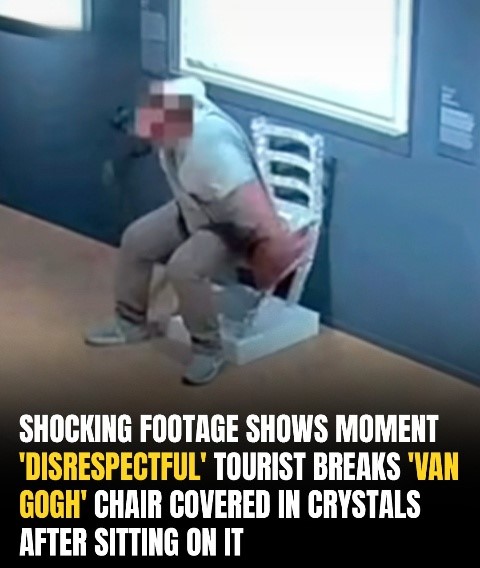 Tourist Shocks Museumgoers By Snapping Crystallized ‘Van Gogh’ Chair In Viral Video